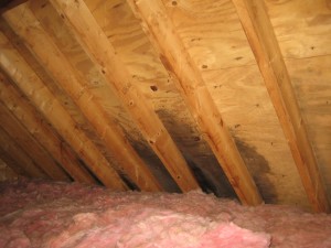 attic leak and mould